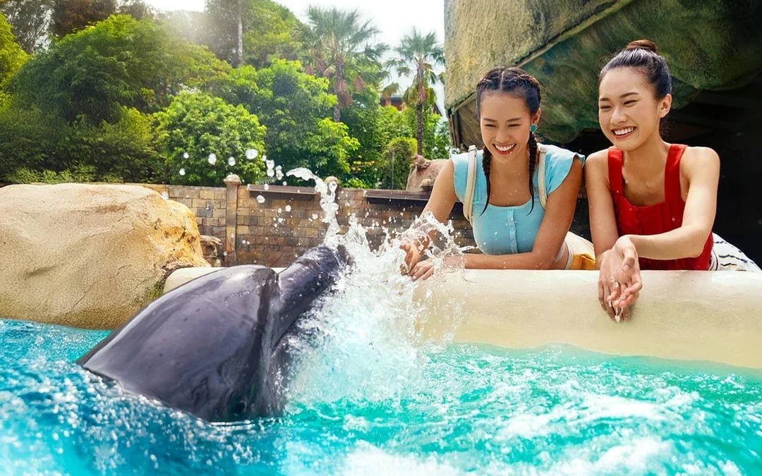 [Family Super Saver] Adventure Cove Waterpark Tickets Image 9