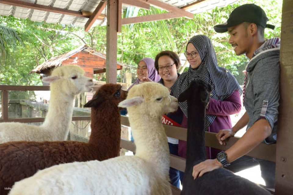 Farm In The City Day Pass Ticket | Selangor