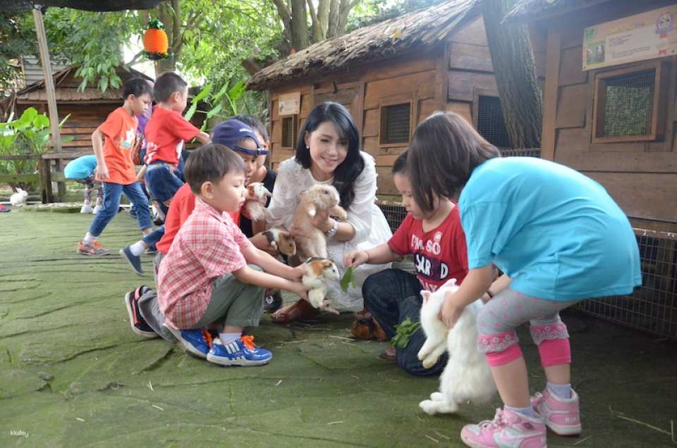 Farm In The City Day Pass Ticket | Selangor
