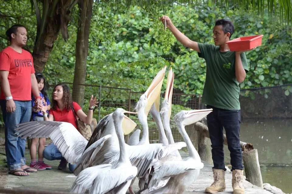 Farm In The City Day Pass Ticket | Selangor