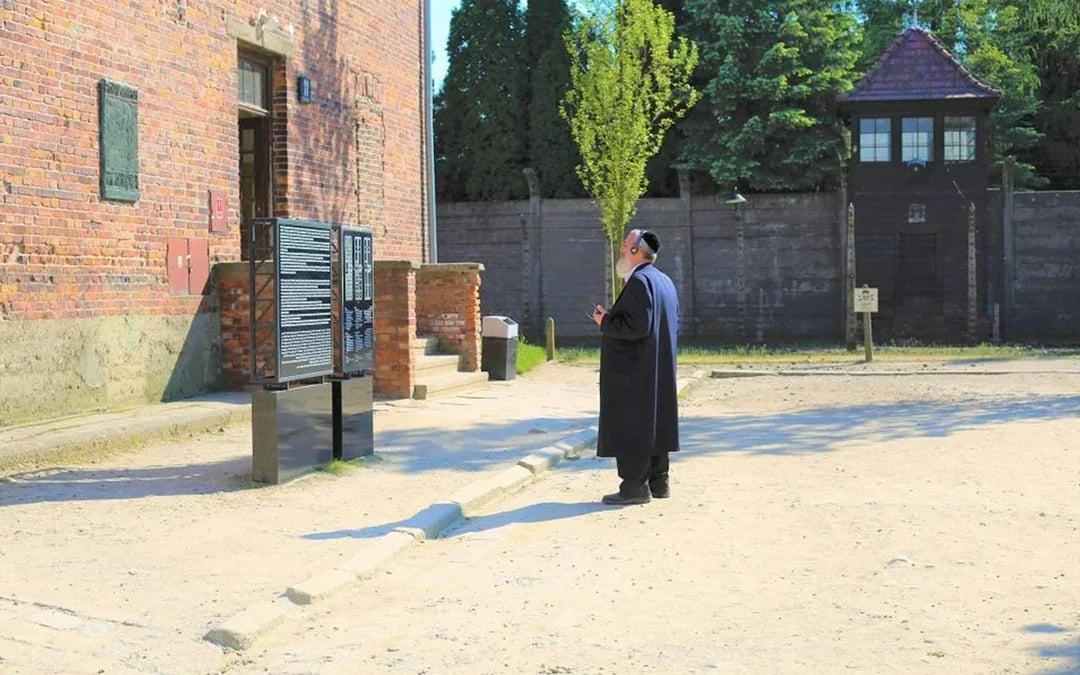 Fast-Track Entry Pass & Tour: Auschwitz-Birkenau Museum Image 1