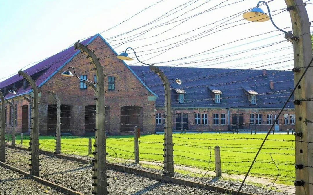 Fast-Track Entry Pass & Tour: Auschwitz-Birkenau Museum Image 3