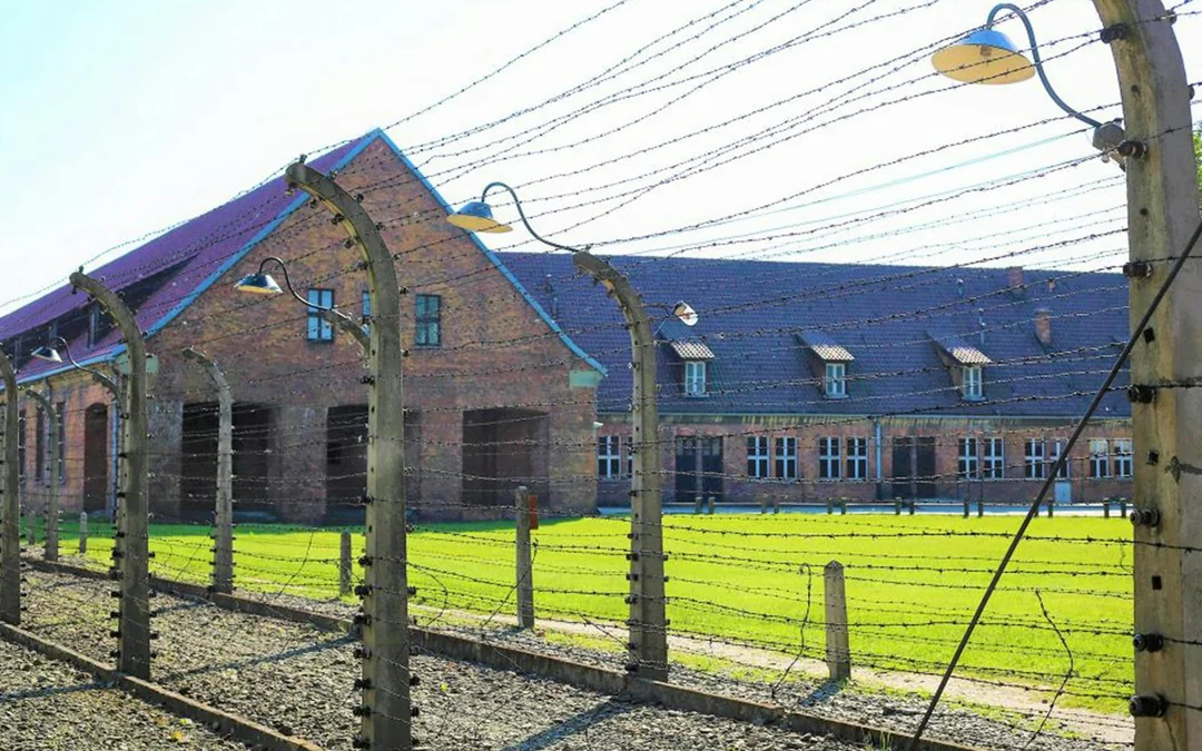Fast-Track Entry Pass & Tour: Auschwitz-Birkenau Museum Image 3