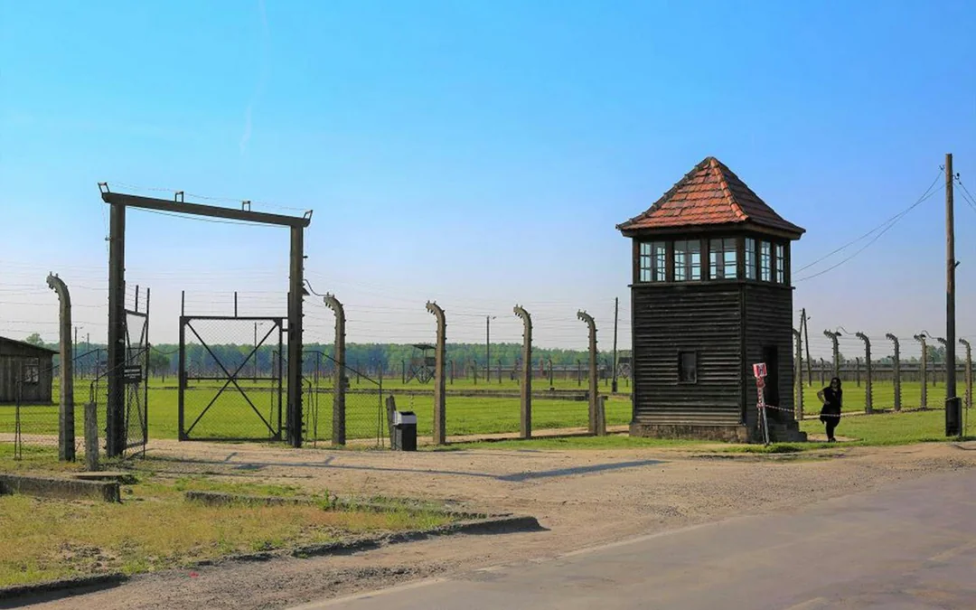 Fast-Track Entry Pass & Tour: Auschwitz-Birkenau Museum Image 4