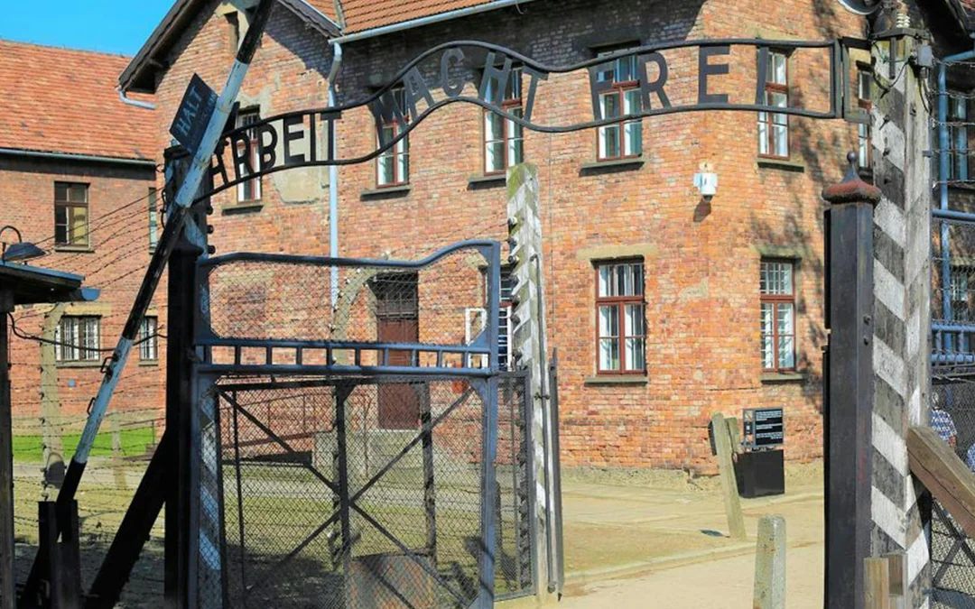 Fast-Track Entry Pass & Tour: Auschwitz-Birkenau Museum Image 5