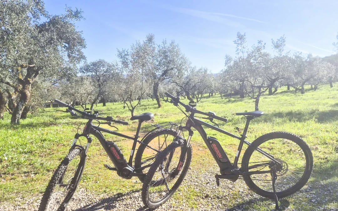 Fátima E-Bike Guided Tour: Sanctuary & Shepherds' Houses Image 2