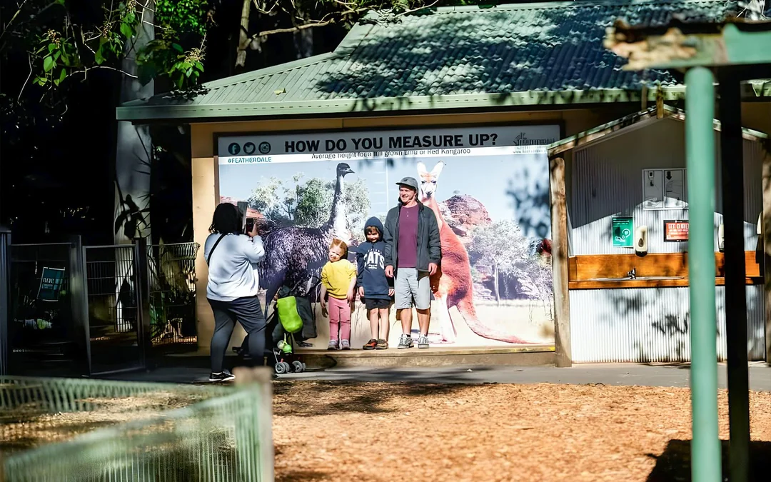 Featherdale Wildlife Park Tickets Image 4