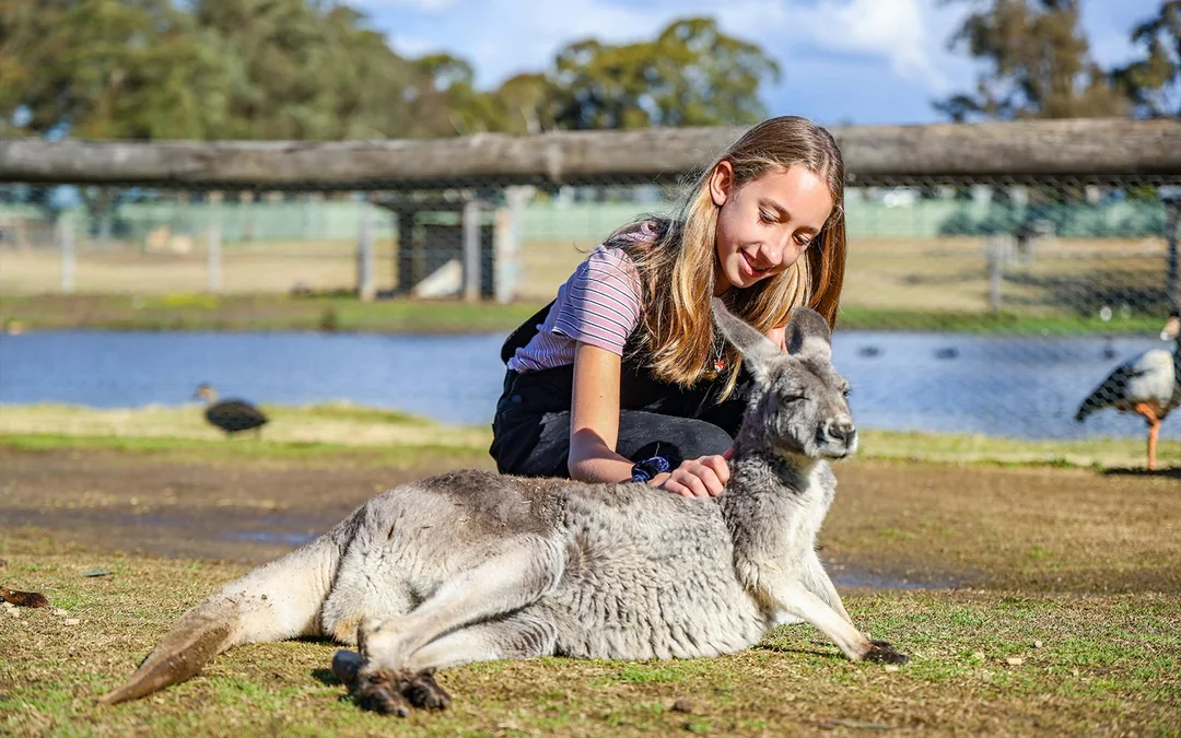 Featherdale Wildlife Park Tickets Image 5