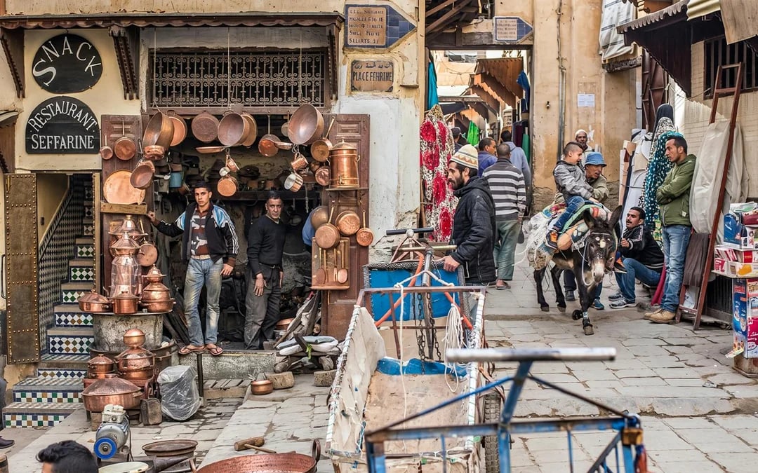 Fes Medina and Chouara Tannery Walking Tour Image 11