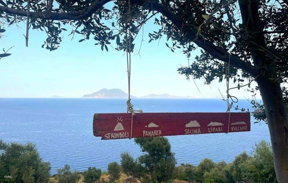 Filicudi vineyard stroll and Tuscia wine tasting experience