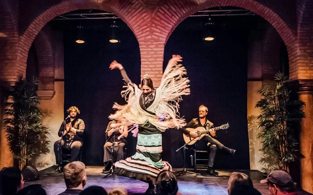 Flamenco Dance Museum - Flamenco Show Image 2