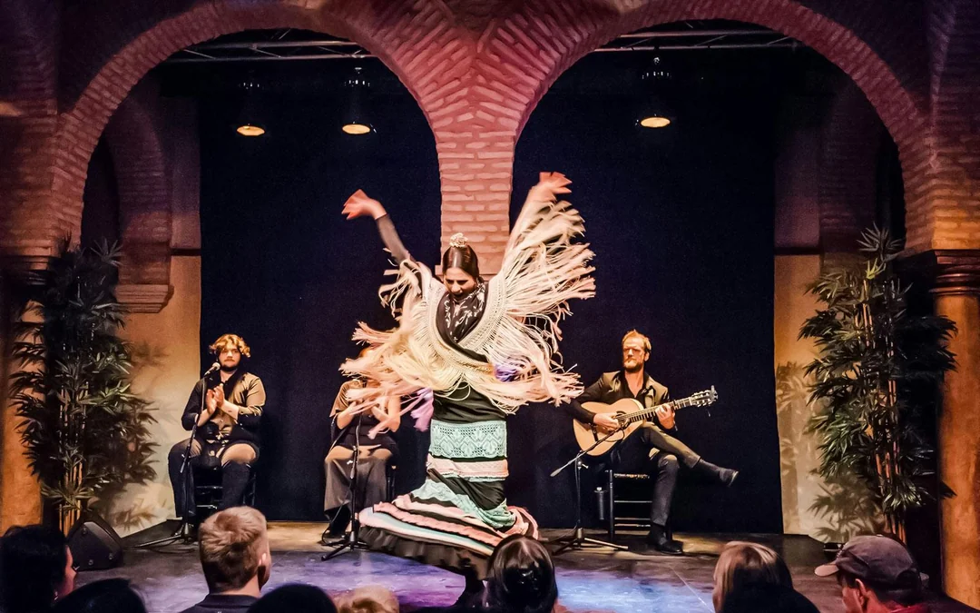 Flamenco Dance Museum - Flamenco Show Image 2
