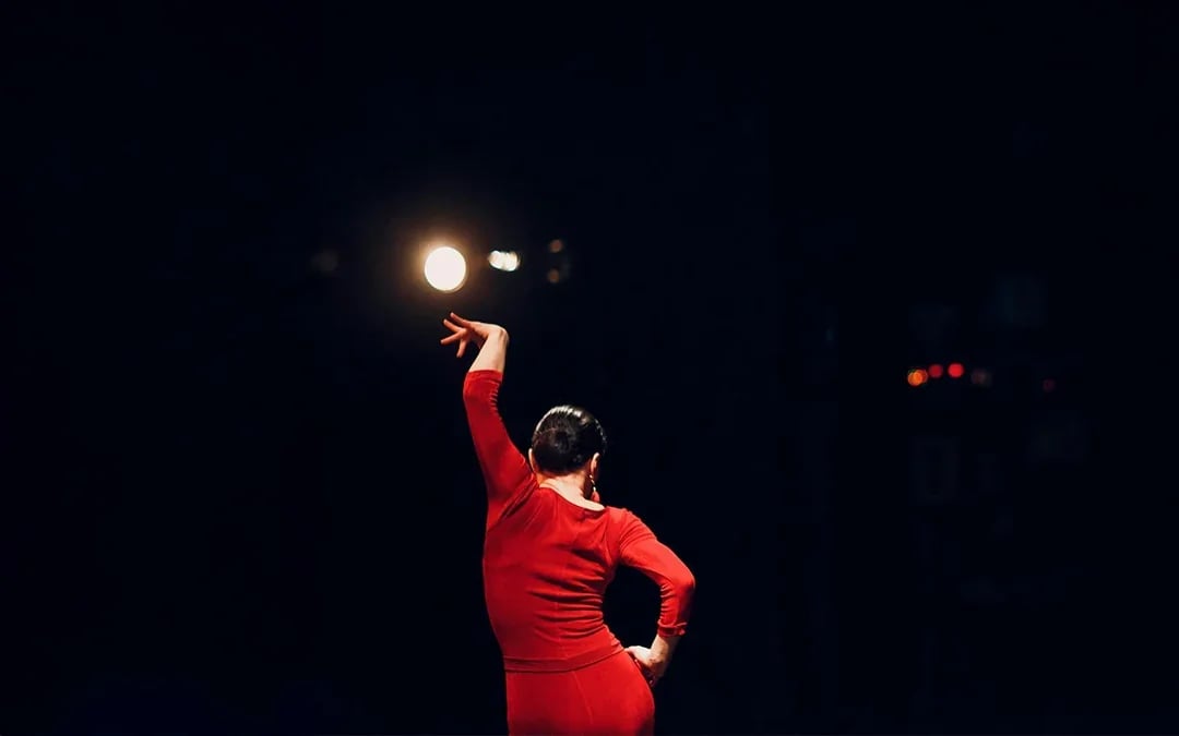 Flamenco Dance Museum - Flamenco Show Image 6