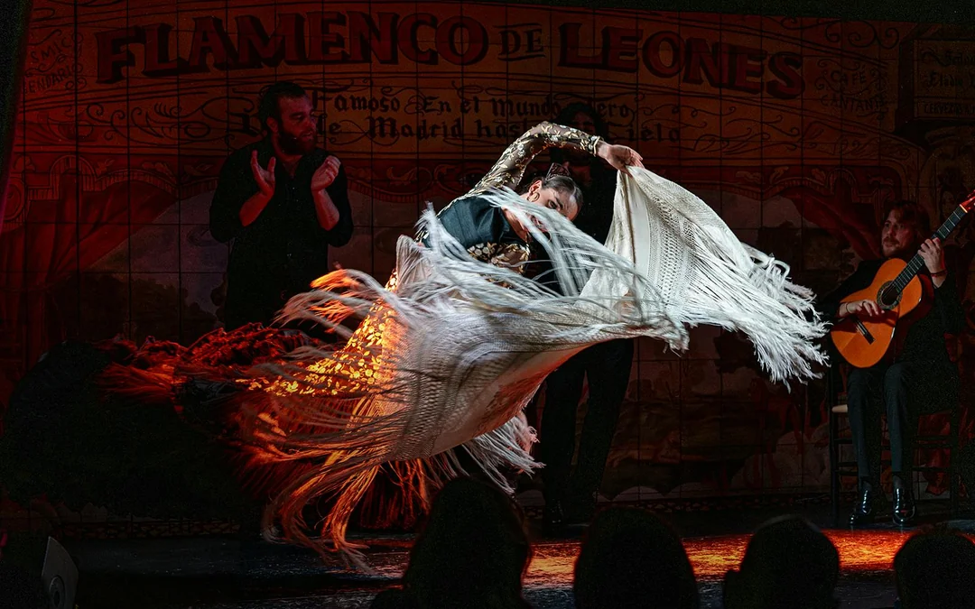 Flamenco De Leones - Flamenco Show Image 2