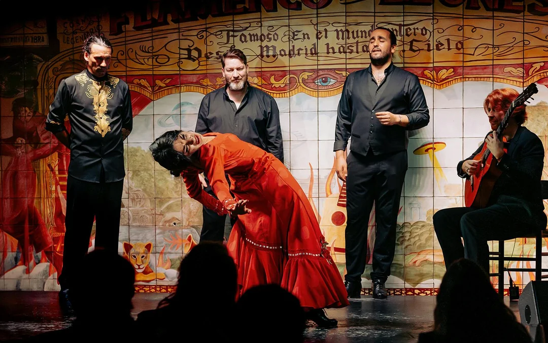 Flamenco De Leones - Flamenco Show Image 5