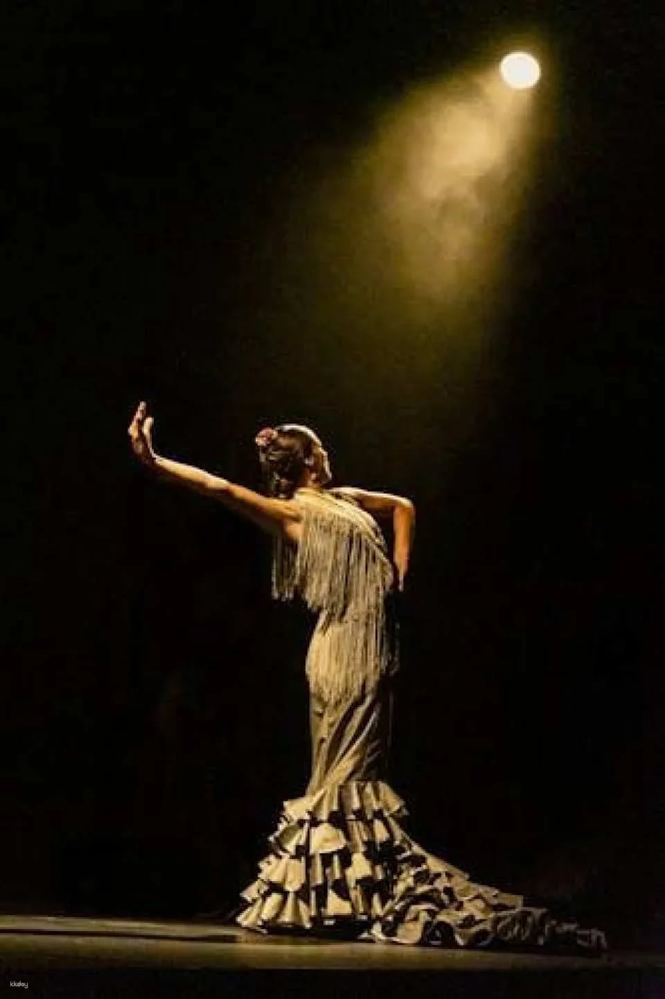 Flamenco Theatre Madrid tickets