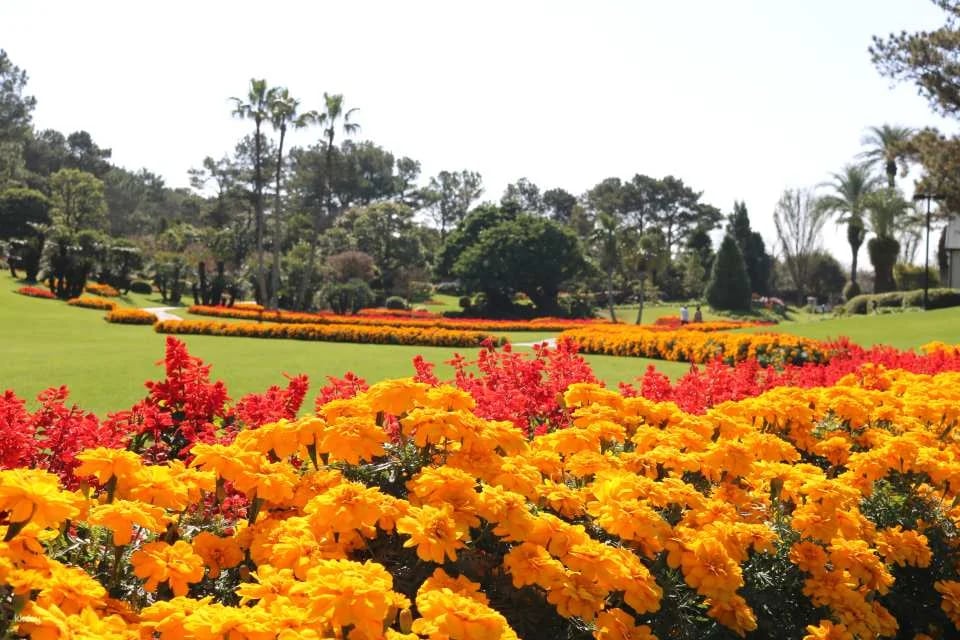 Florante Miyazaki Admission Ticket (Miyazaki Prefecture, Garden)