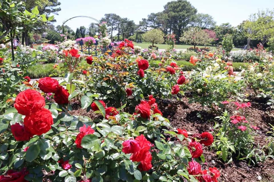 Florante Miyazaki Admission Ticket (Miyazaki Prefecture, Garden)