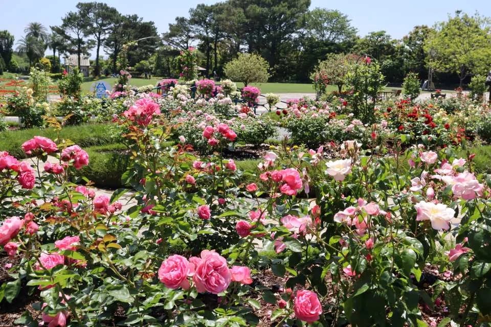 Florante Miyazaki Admission Ticket (Miyazaki Prefecture, Garden)