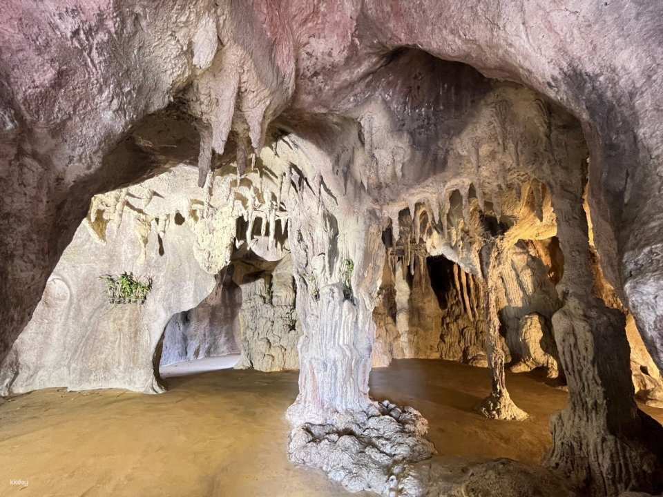 Flower Land Pattaya Admission Ticket | Thailand
