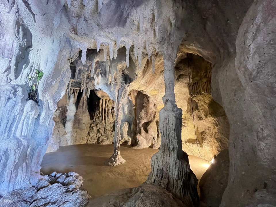 Flower Land Pattaya Admission Ticket | Thailand
