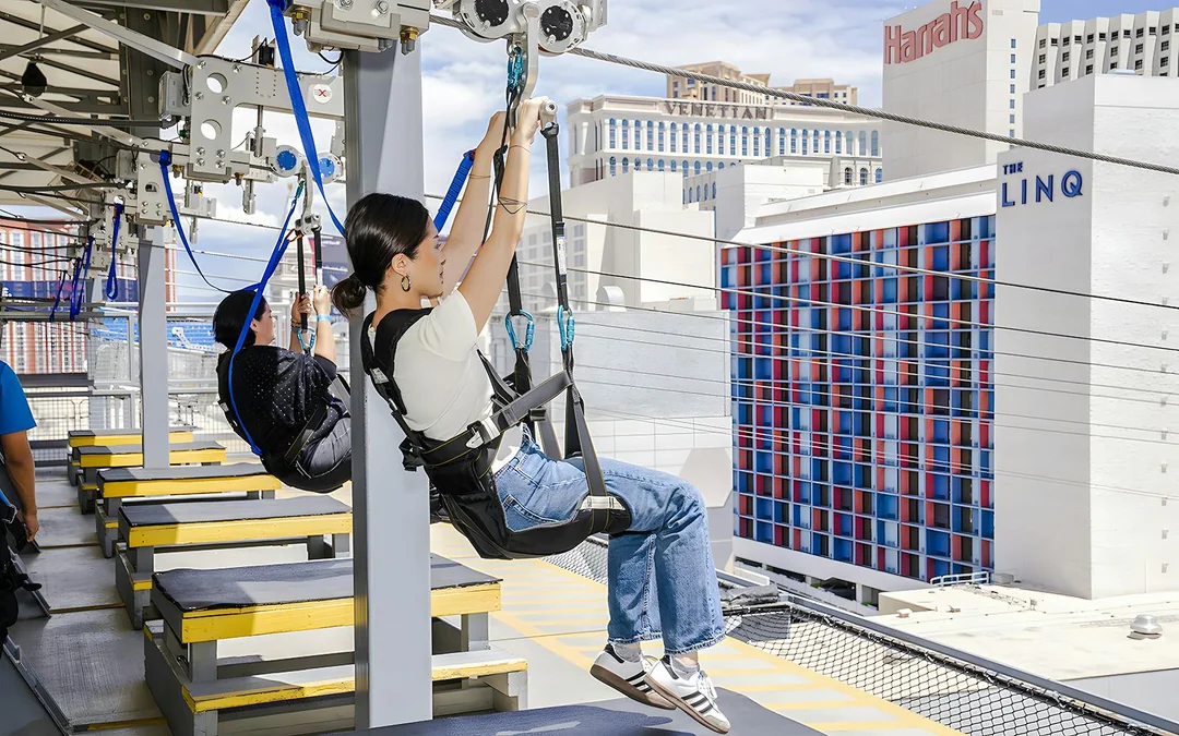 Fly LINQ Zipline Tickets Image 2