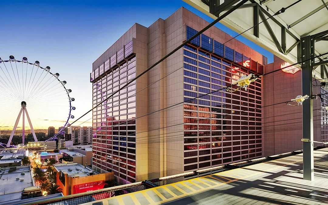 Fly LINQ Zipline Tickets Image 3