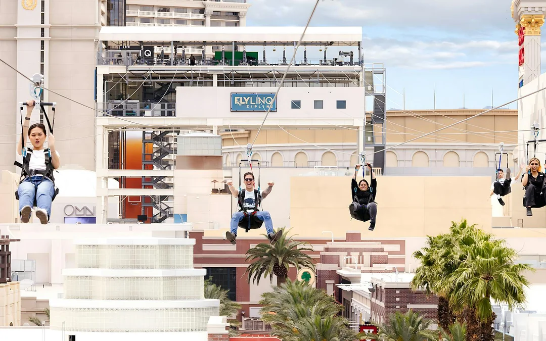 Fly LINQ Zipline Tickets Image 4