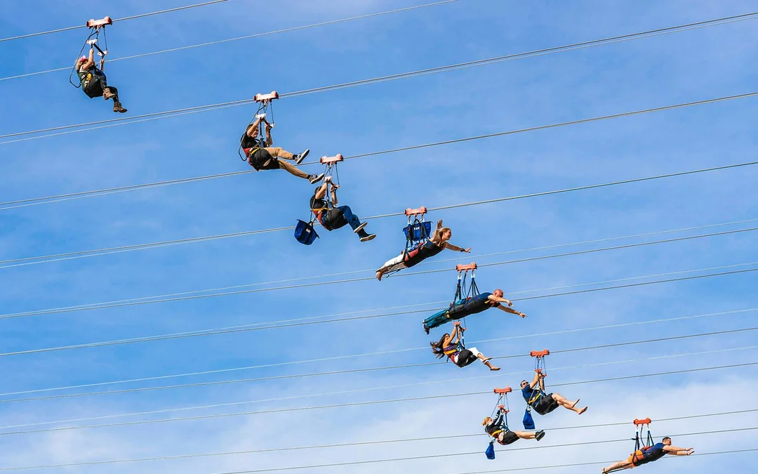 Fly LINQ Zipline Tickets Image 5
