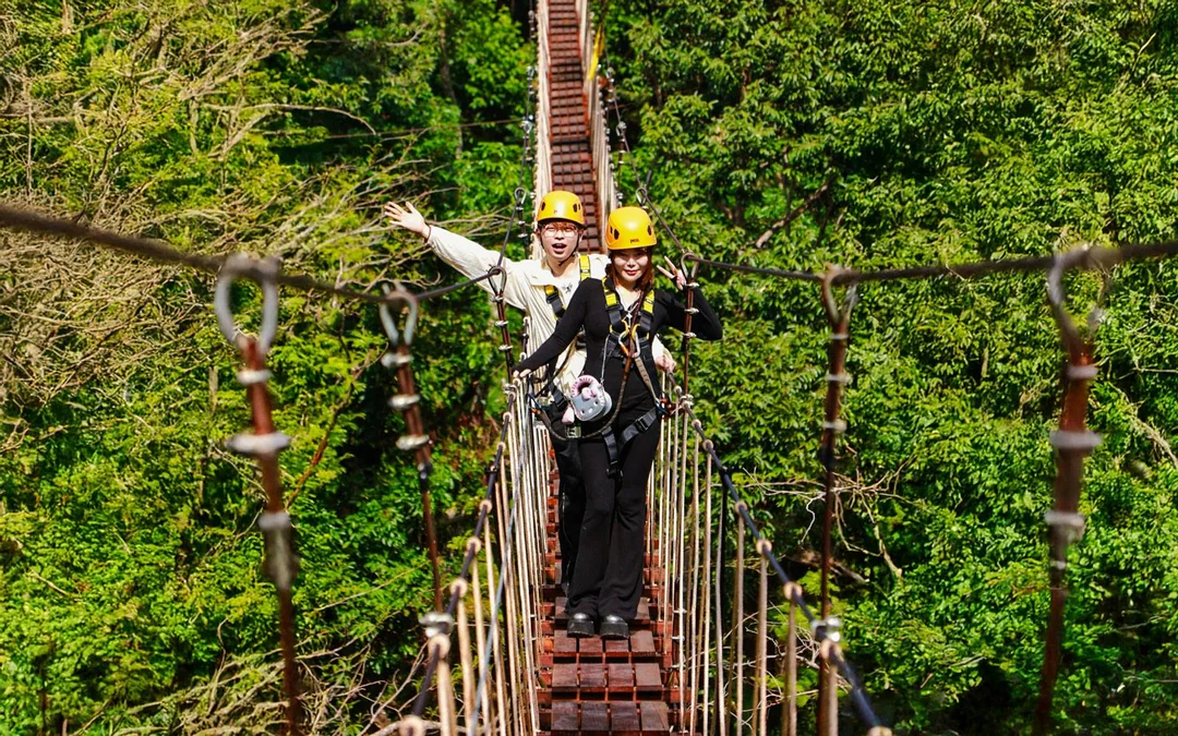Flying Hanuman: 28 Platform Zipline and Elephant Sanctuary Visit
Image 3