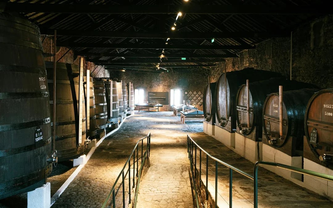 Fonseca Port Wine Cellar Tickets with Tasting Experience Image 2