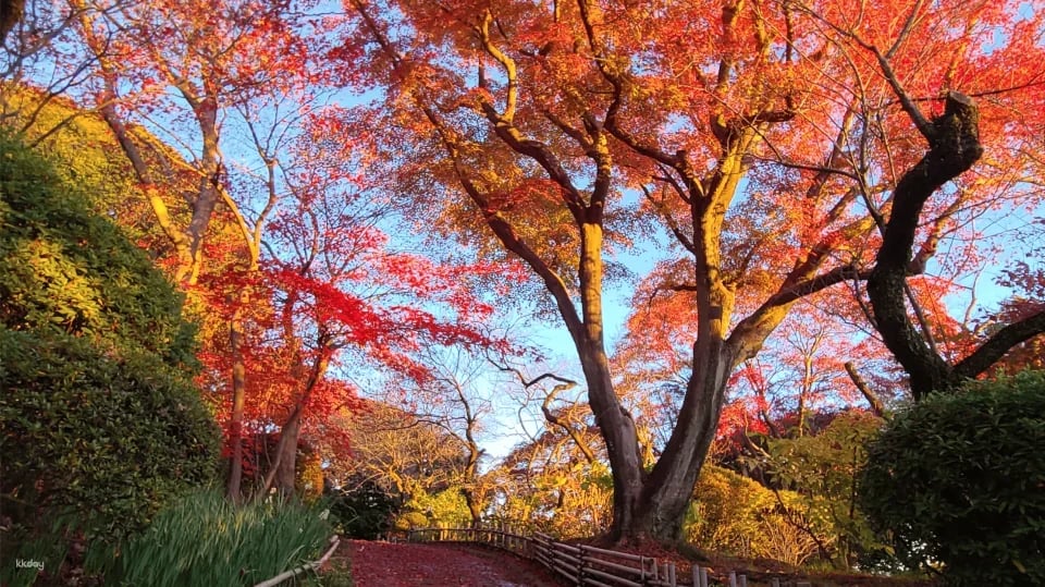 Tickets for Keio Mogusaen Garden, Tokyo