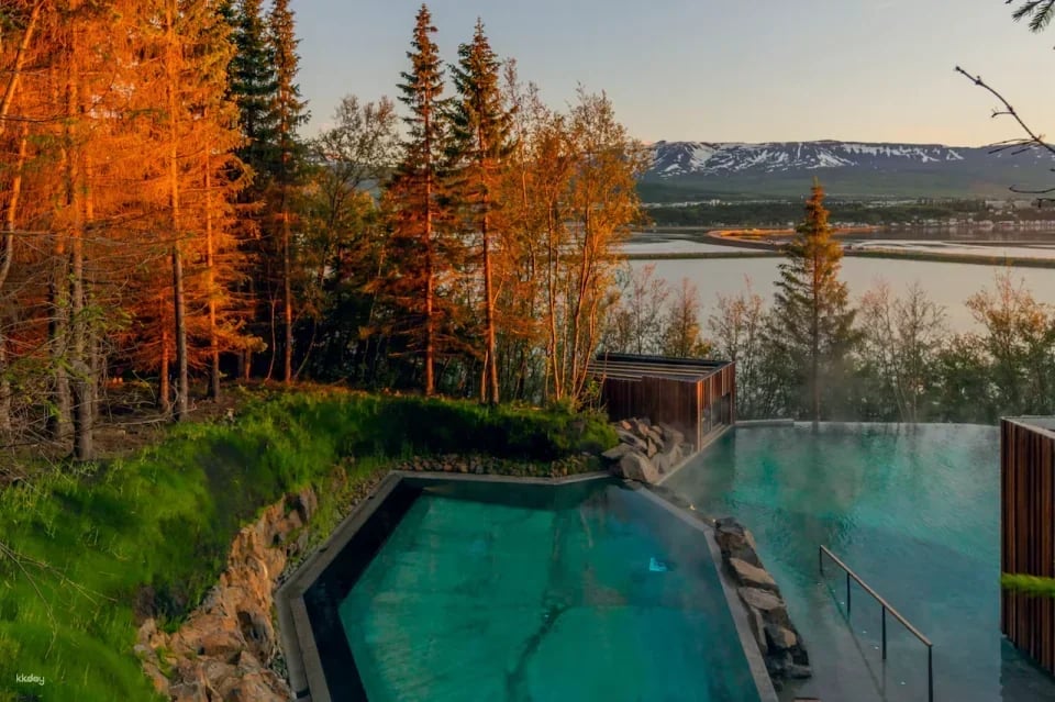Forest Lagoon Entry Ticket | Iceland