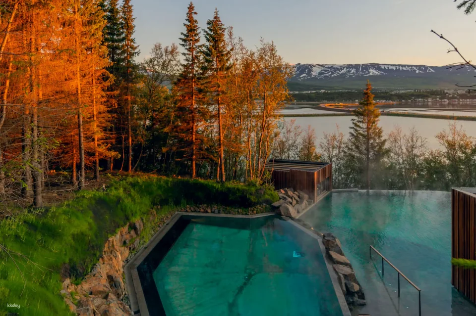 Forest Lagoon Entry Ticket | Iceland