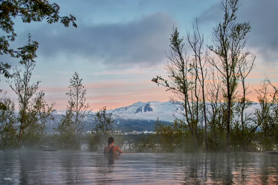 Forest Lagoon Entry Ticket | Iceland