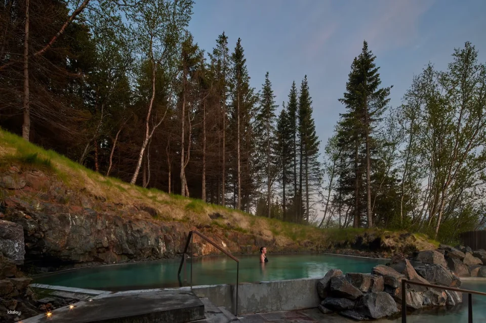Forest Lagoon Entry Ticket | Iceland