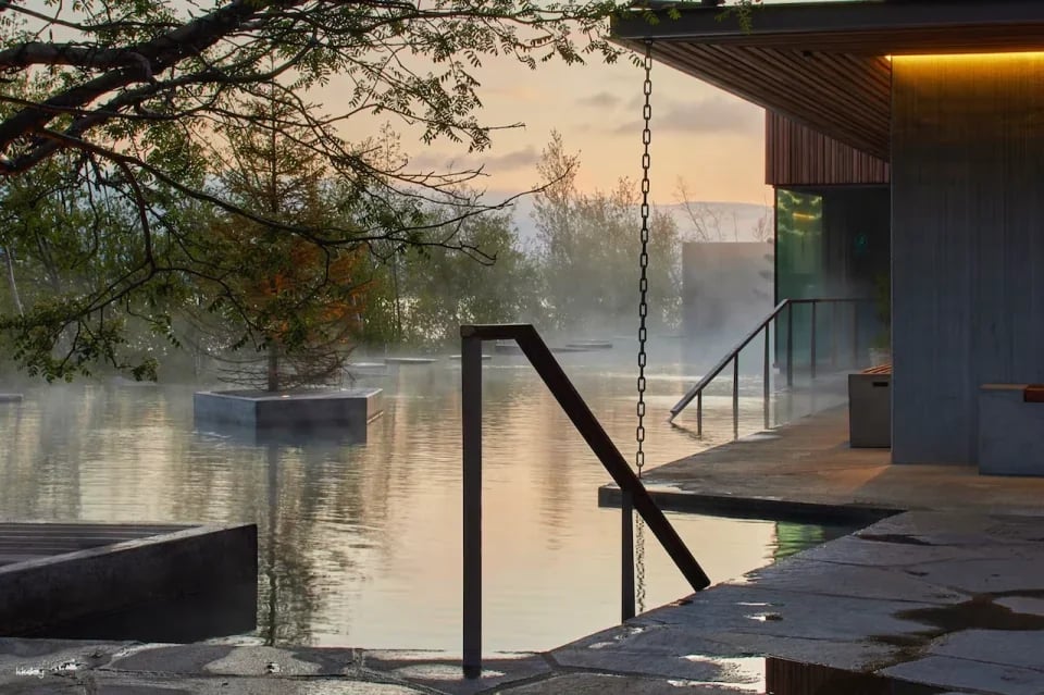 Forest Lagoon Entry Ticket | Iceland