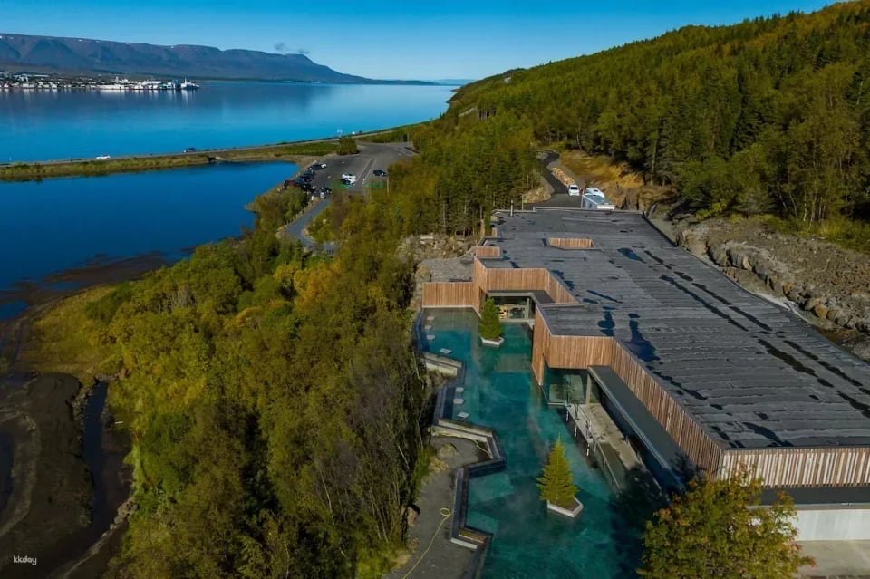 Forest Lagoon Entry Ticket | Iceland