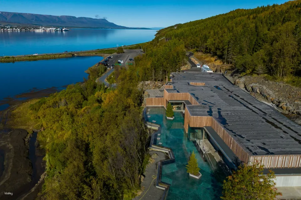 Forest Lagoon Entry Ticket | Iceland