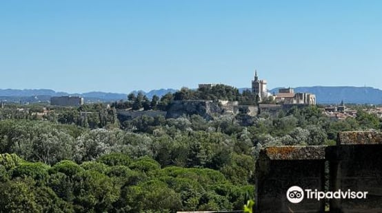 Fort Saint-Andre