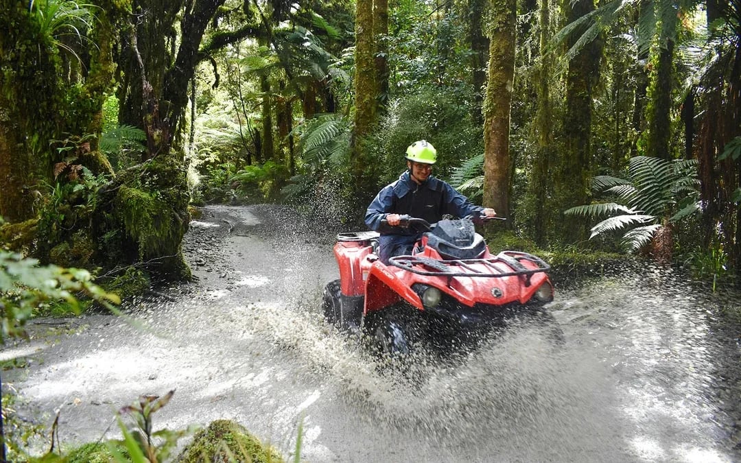 Franz Josef Guided Off-Road Adventure Tour
 Image 8