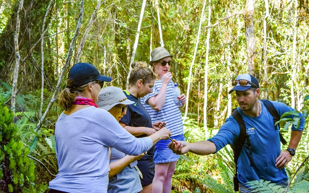 Franz Josef Scenic Cruise & Guided Rainforest Walk  Image 4