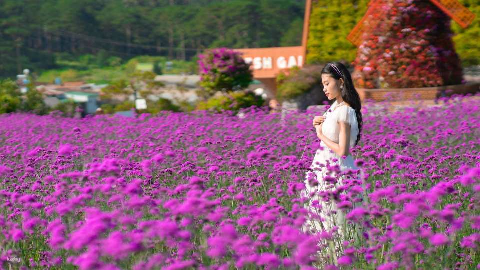 Fresh Garden Da Lat Tickets
