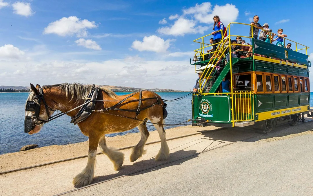 From Adelaide: Victor Harbor and Southern Australia Highlights Day Trip Image 2