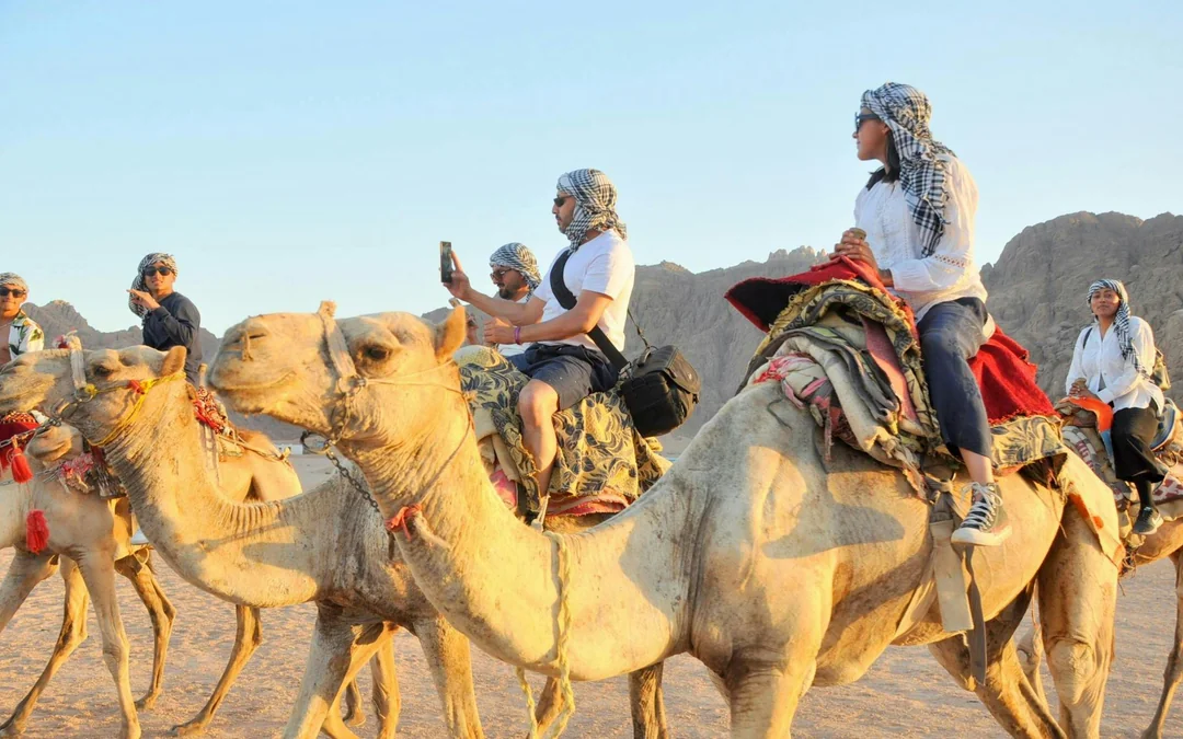  From Agadir: Camel Ride & Flamingo River Trek  Image 2