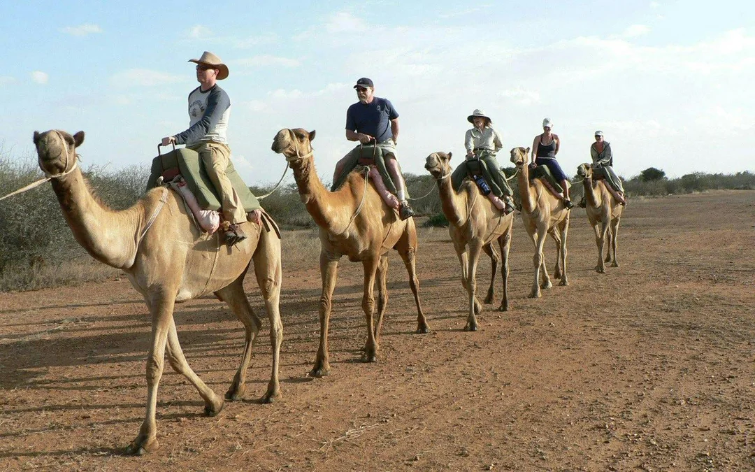  From Agadir: Camel Ride & Flamingo River Trek  Image 3
