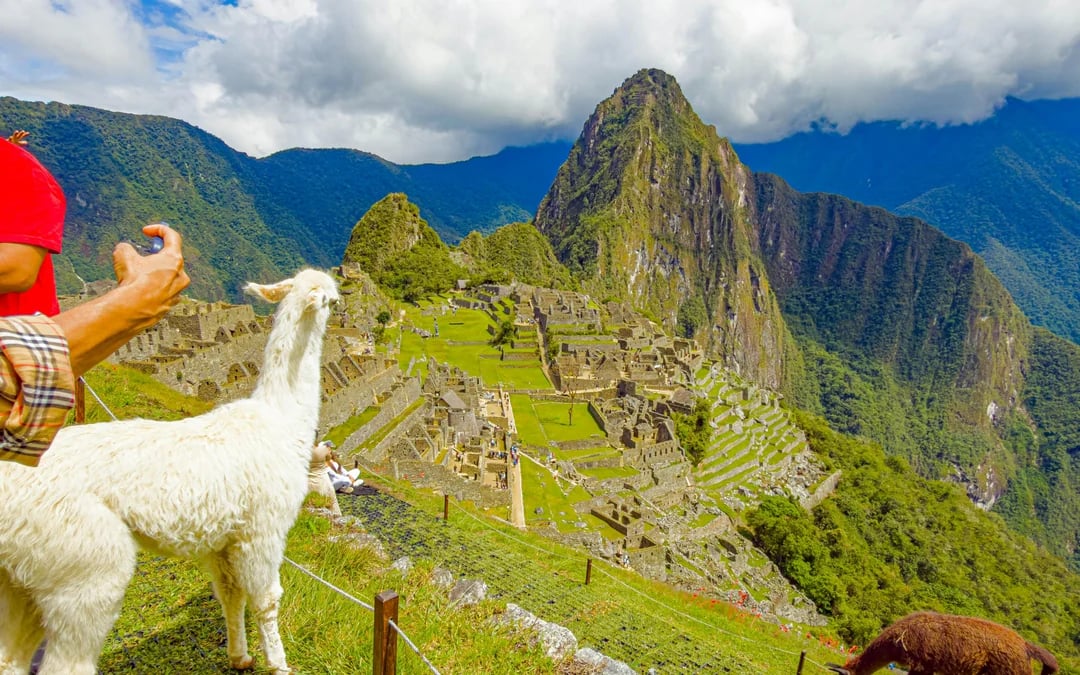 From Aguas Calientes: Machu Picchu Entry with Guided Tour & Round-Trip Transfer Image 12