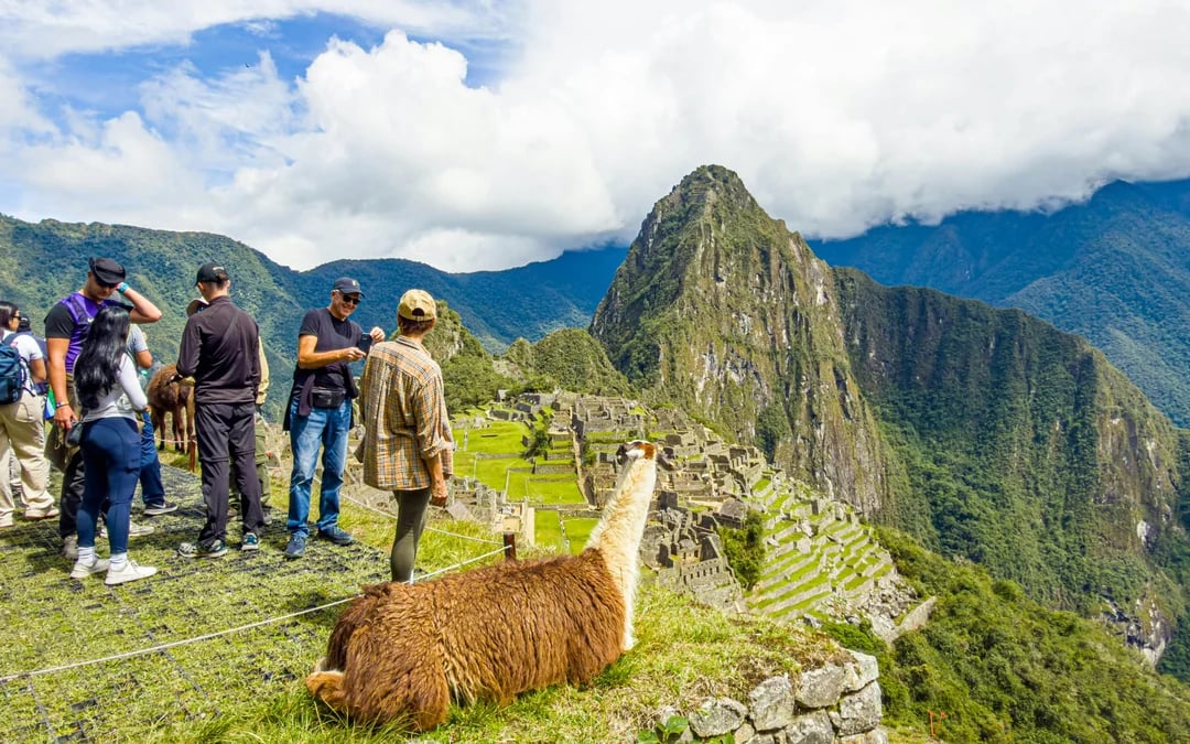 From Aguas Calientes: Machu Picchu Entry with Guided Tour & Round-Trip Transfer Image 5