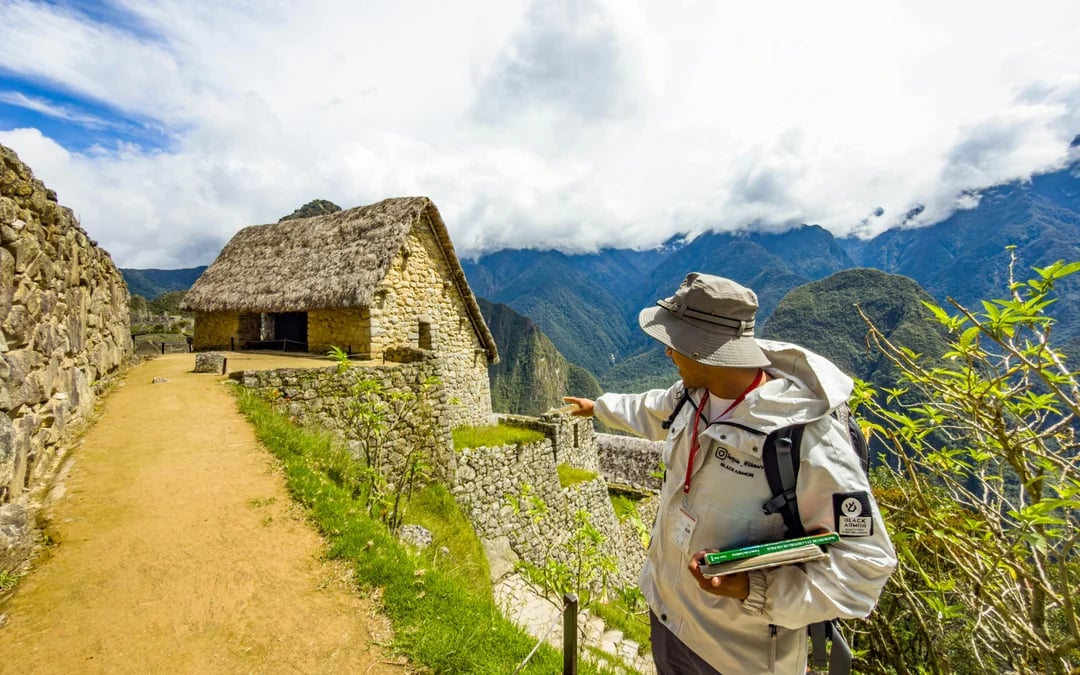 From Aguas Calientes: Machu Picchu Entry with Guided Tour & Round-Trip Transfer Image 7