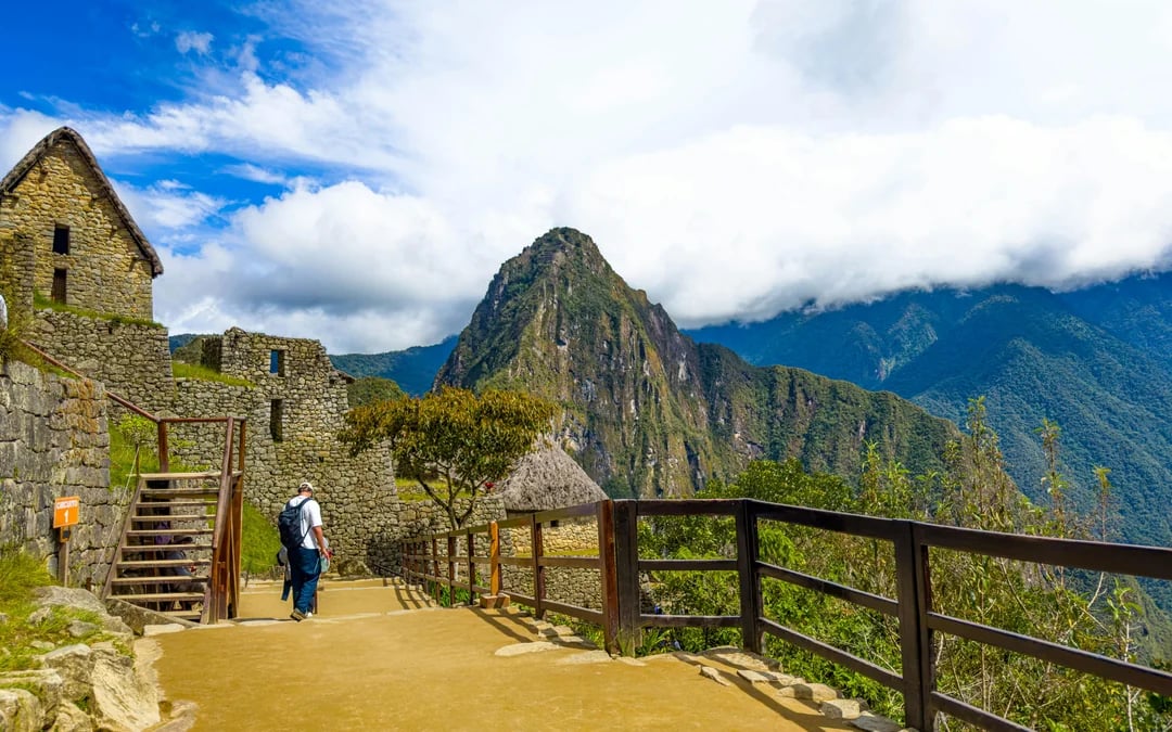 From Aguas Calientes: Machu Picchu Entry with Guided Tour & Round-Trip Transfer Image 8